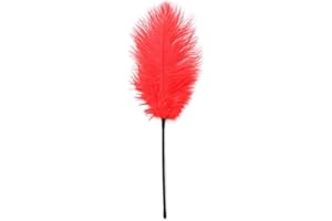 TIVMIK Teasing Toys with Ostrich Feathers Tickling Stick, Tickling Tickle
