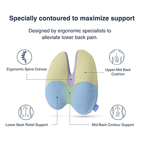 Cushion Lab Extra Dense Lumbar Pillow Patented Ergonomic MultiRegion