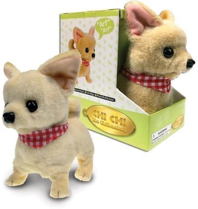 Westminster Chi-Chi Chihuahua