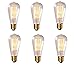 6 Pack - Homestia 60 Watt Filament Long Life Edison Repoduction Light Bulbs