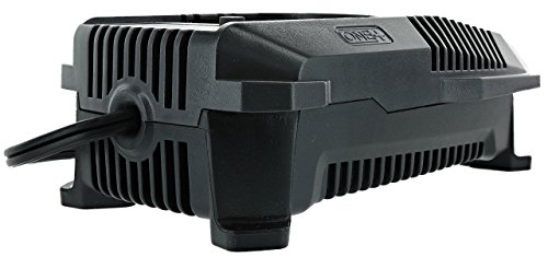 Ryobi P118 Lithium Ion Dual Chemistry Battery Charger for One+ 18 Volt Batteries (Battery Not Included / Charger Only) (Certified Refurbished)