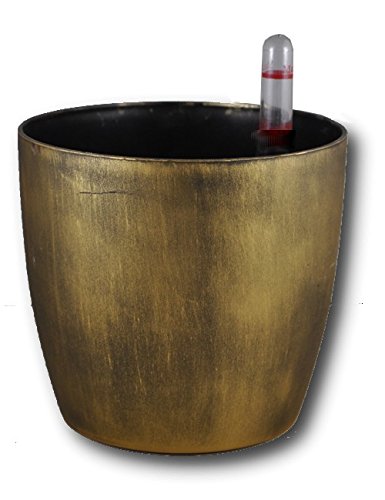 Minerva Naturals Self Watering Planter 5.5 Golden Finish (Pack Of 2) 14 cm X 12 cm