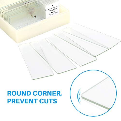 Microscope Slides, 10pc Biology Science Prepared Slides and 5pc Blank Ground Edge Slides with Storage Case - Thumbnail 5