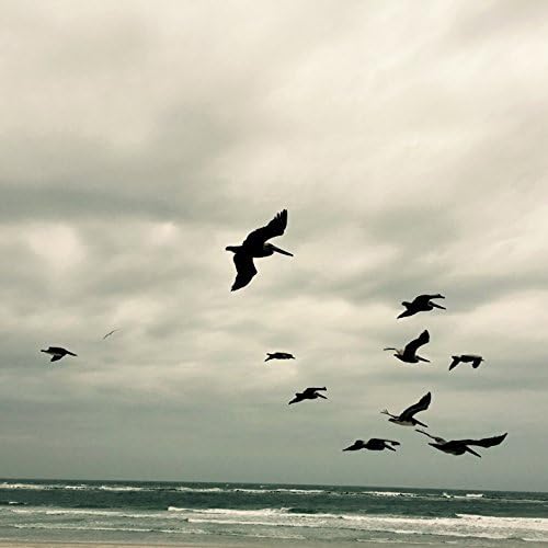 In A Moment - Music For Piano And Strings