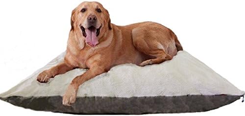 54"X37" XL Beige Color Orthopedic Micro Cushion Memory Foam Pet Bed Pillow for Large dog with 2 external covers + Waterproof Internal cover