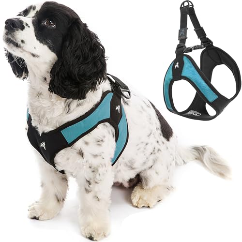 Gooby Easy Fit Step-In Harness Light and Comfortable, Large, Turquoise
