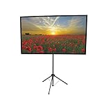 GO-80 Portable Projector Screen | 80 inch | Mounts on Tripod AND Wall | 16:9 format | 9 lbs | 2 minute setup | Includes Carrying Bag | For Mobile presentation and Home Entertainment |4K Ultra HD ready