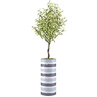 SIGNWIN Olive Tree with Navy & Light Blue Jagged Paint Stripes Abstract Shapes Minimalism Zen Relax/Calm Multicolor Ultra for Living Room, Bedroom, Office - X-Large 5 Feet (60