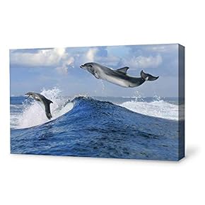 Canvas Wall Art Lovely Dolphin Canvas Prints Home Artwork Decoration for Living Room,Bedroom - 12x18 inches