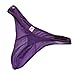 Zeagoo Men's Net Yarn Underpants Underwear Purple