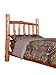 THE WOODS Premium Microfiber CAMO Comforter (Brown, Twin)