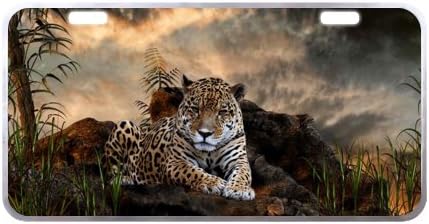 Leopard License Plate with Lightweight-11.8" X 6.1" inches-Black Trim