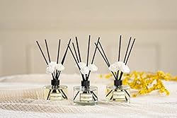 CULTURE & NATURE Reed Diffuser 6.7 oz