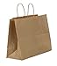 Premier Packaging AMZ-201525 12 Count Shoppers Gift Bag, 16 by 6 by 12-1/2-Inch, Kraft