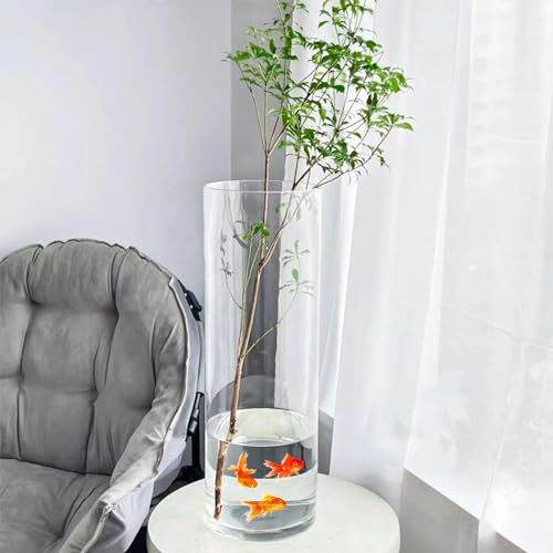 QEEYON 30cm Tall Glass Cylinder Vase, Extra Large Thickened Crystal Flower Vase for Living Room Kitchen Office Wedding Flower Arrangements (30x12cm)