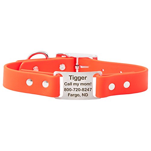 dogIDS Orange Personalized Waterproof Dog Collar with Engraved ScruffTag Nameplate - Smell Resistant Collar (1 Inch Wide - Fits Neck Sizes of 22-26 Inches)