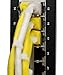 1000 Premium Heavy Duty 4 Inch Zip Ties | White Nylon Cable Ties | XGS Wire Ties by APTronix (4 Inch, White)