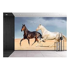 Group of Two Horse Run on Desert Against Beautiful Sky - Removable Wall Mural | Self-Adhesive Large Wallpaper - 66x96 inches