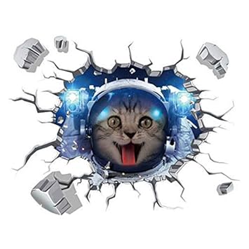 上壁紙 猫 宇宙 最高の花の画像