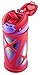 Zulu Echo BPA-Free Vacuum Insulated Stainless Steel Water Bottle with Flip Straw, Pink, 16 oz.