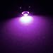 Partsam 6pcs Purple T4 T4.2 Neo Wedge LED Bulbs For Car Truck Auto HVAC AC Climate Heater Controls Radio Switch Replacement Light Bulb 12V 1-3528-SMD 10mm Base