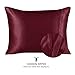 ShopBedding Luxury Satin Pillowcase for Hair – Standard Satin Pillowcase with Zipper, Burgundy (Pillowcase Set of 2) – Blissford