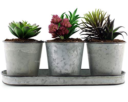 Darware Galvanized Succulent Pot Set (3 Pots with Tray); Farmhouse Flower Tin Pot and Tray Windowsill Planter or Caddy