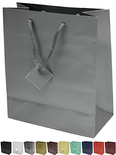 Novel Box® Silver Matte Laminated Euro Tote Paper Gift Bag Bundle 8