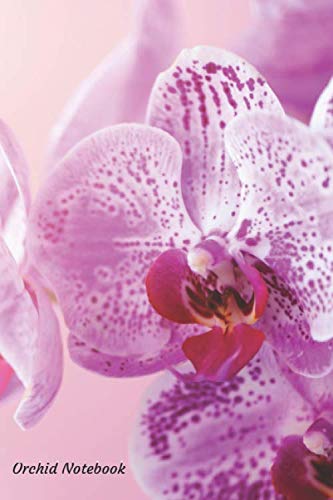 Orchid Notebook: Portable lined Orchid - Travel Journal to write in - 120 pages - 6"x9"