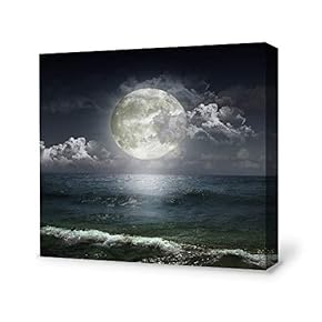 Canvas Wall Art for Living Room,Bedroom Home Artwork Paintings Charming Moon Ready to Hang - 12x12 inches
