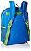 Disney Boys' Lion Guard 16 Inch Backpack