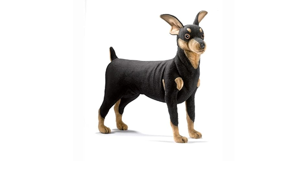 peluche perro pincher