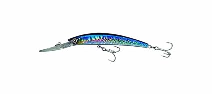 Amazon Com Yo Zuri Crystal Minnow Deep Diver Lure Sardine 5 1 4 Inch Fishing Diving Lures Sports Outdoors