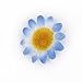Femitu 100x Artificial Gerbera Daisy Flowers Heads for DIY Wedding Party (Blue)