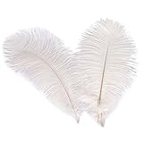 Wionya 20pcs Ostrich Feather Craft 10-12inch(25-30) Plume for Wedding Centerpieces Home Decoration