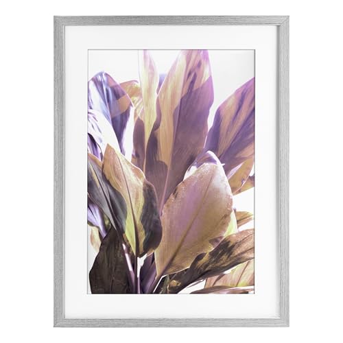 Stupell Industries Tropical Lit Leaves Gray Framed Print Under Glass design by…