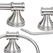 Globe Electric Walker 5-Piece All-in-One Bathroom Set, 3-Light Vanity Shades, Bar, Towel Ring, Robe Hook, Toilet Paper Holder 51299, 13.8