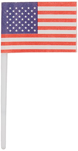 Oasis Supply 144 Count American Flag Picks