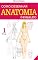 Livro Como Desenhar Anatomia: O Esqueleto