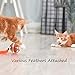 WendyMom Motion Activated Cat Toy Interactive Ball, Catch The Chick, Small