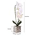 White Artificial Phaleanopsis Arrangement with Vase Decorative Orchid Flower Bonsai Table Centerpiece with Chrome plated flowerpot
