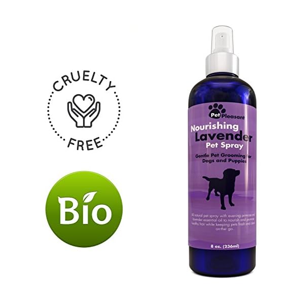 Natural Pet Spray Aromatherapy Lavender Essential Oil & Primrose Fur