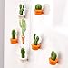 12PCS Refrigerator Magnet Kitchen Magnet Office Magnet whiteboard and Dry Cleaning Board, Lovely and Colorful Potted Design (Cactus)