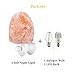WAYNEWON Natural Himalayan Salt Lamp, Plug in Hand Carved Crystal Night Light – Best Living Room, Bathroom, Hallway Light [1 Regular Bulb & 1 Color Bulb]