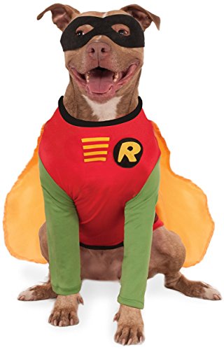 Rubies Costume Company DC Comics Robin Big Dog Boutique