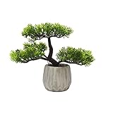 Artificial Japanese Cedar Bonsai Tree 8 Inch Tall - Best Gift Zen Garden Modern Planter Pot