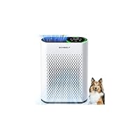 Powerful Air Purifiers for Home Large Room Up to 2400 Ft², ECOSELF HEPA Air Purifier with PM 2.5 Air Quality Display 20dB Sleep Mode, Air Purifiers for Bedroom Office Living Room HAP602 White