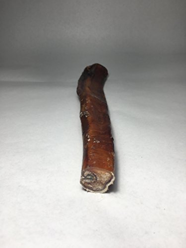 TEXAS-SIZED MONSTER Bully Sticks for Dogs - 1-Pack - Made in USA Black Angus Beef Pizzles Grain-Free Rawhide-Free Small-Batch Dog Chew Sticks by Sancho & Lola's (3 LB BULK SIZE AVAILABLE)