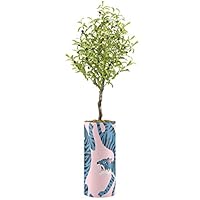 SIGNWIN Olive Tree with Growling Blue & Black Illustrated Tiger Vase Animals Wildlife Minimalism Zen Dramatic Multicolor Ultra for Living Room, Bedroom, Office - X-Large 5 Feet (60