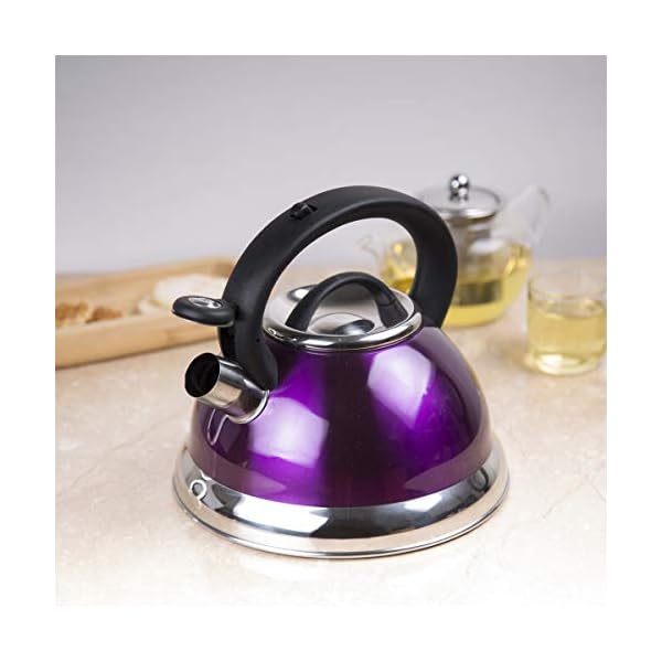 Creative Home Alexa 3.0 Quart Stainless Steel Whistling Tea Kettle Fast